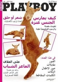 Будни оптимизации: студентам-медикам на 40% срезали стипендию