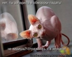 "Красота - это страшная сила"