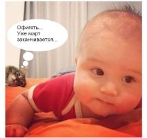 15 неподражаемых фотографий, где всё дело в эффектном фоне 