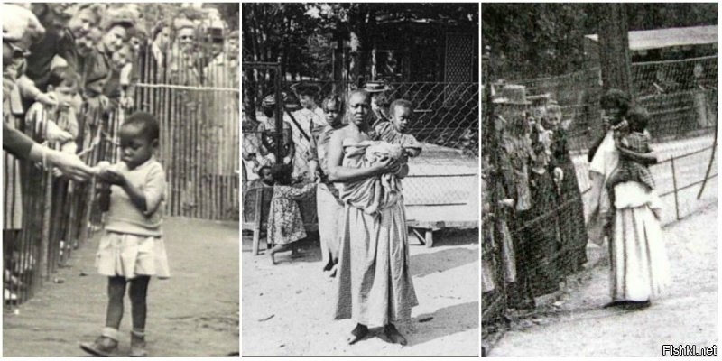 Сто шестьдесят лет прошло с отмены крепостного права в России. Зато в "просвещенной Европе" еще в 1958 году показывали негров в зоопарке. Но это же совсем другое?