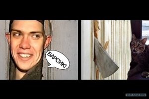 Как мартовский кот с интернетом боролся