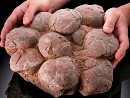 видно же что не одно . кладка