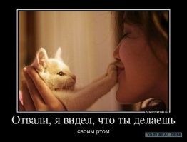 Смешные комментарии и картинки из соцсетей