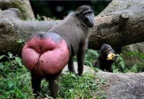 В гонке пришла прямо за лидером