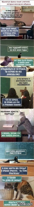 Кошки учителя!))) кому-то повезло)))