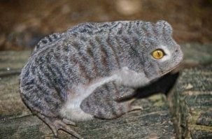 Позитивный винегрет вечера