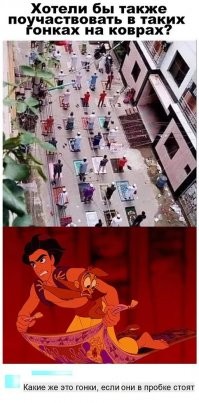 Это они на старте, перед гонкой