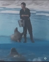 Позитивный винегрет вечера