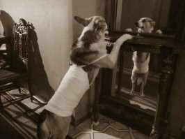 "....Окончательно уверен я, что в моём происхождении нечисто. Тут не без водолаза. Потаскуха была моя бабушка, царство ей небесное, старушке. Правда, голову всю исполосовали зачем-то, но это до свадьбы заживёт. Нам на это нечего смотреть».