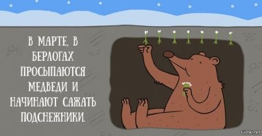 "Как медведь весну встречает"
====================