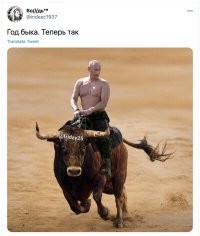 Президент верхом на "Лосе": в Кремле показали, как Путин с Шойгу отдыхают в тайге