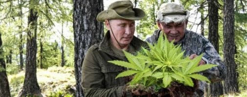 Президент верхом на "Лосе": в Кремле показали, как Путин с Шойгу отдыхают в тайге