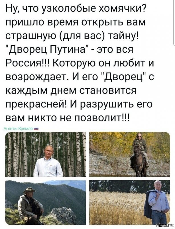 Для хомячков! 
Путин отдыхает в парке своего дворца.
