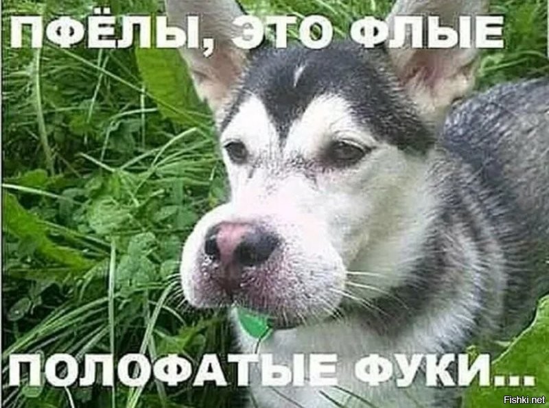 Смешные и познавательные картинки