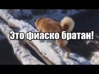 Денис, улыбнись!