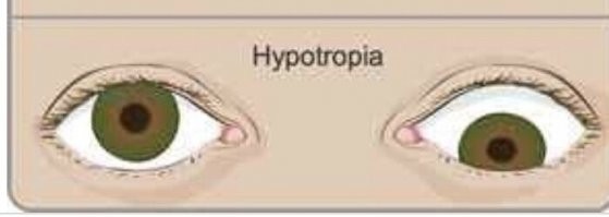 Смешные и познавательные картинки