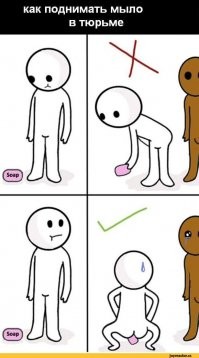 Смешные и познавательные картинки