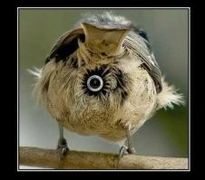 Смешные и познавательные картинки