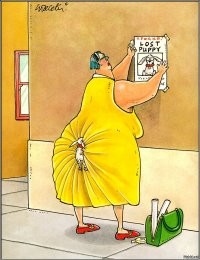 Смешные и познавательные картинки