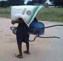 Ну не прижилось же