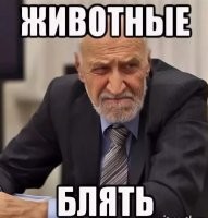 В московском Бутове пьяные дебоширы напали на машину скорой помощи