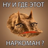 Весь мир в одном семечке: 20 невероятных фото под микроскопом семян  растущих рядом