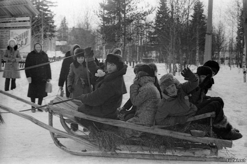 1981 год. Архангельская область. Катунинская средняя школа.