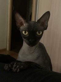 Мой совсем не страшный.