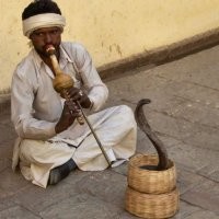 Веселые  картинки