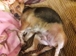 Бли-и-и-н! Так значит сейчас рядом со мной на диване лежит мертвый гаишник?