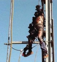 А почему другие картинки бунтарей не приводят?
Бунтарь против запрета залезать на ЛЭП: