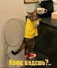 Следующий этап: найти дом и помогать по хозяйству.