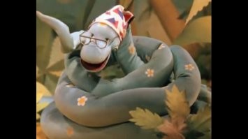 Веселые  картинки