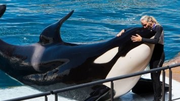 Добрейшие животные!