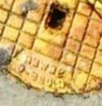 Это импортные, отзеркаленные ананасы.