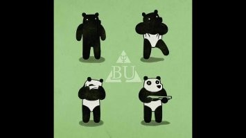 В Бельгии панда сбежала из вольера и напала на смотрителя