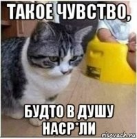 Смешные и познавательные картинки