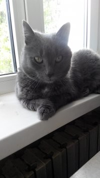 Прям как мой)