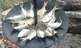 Усковорода маловата будет, у меня такая штука, разок завтрак на всех 20 яиц)