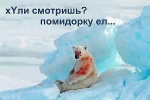 Как понять, кто тебя покусал: 15 укусов, которые следует знать