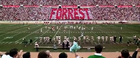 Точно в лузу:  спортсмен эффектно закончил забег