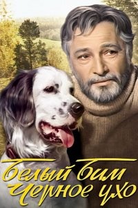 Занимательные картинки