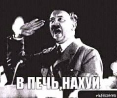 В печь эту черножопую тварь.