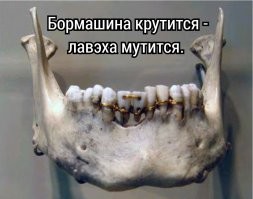 Смешные и познавательные картинки