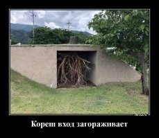 квинтессенция тонкого юмора