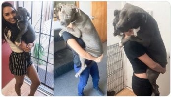 Мальчик, походу, сразу понял куда он попал.