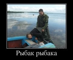 Смешные и познавательные картинки