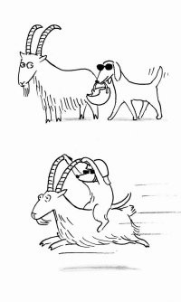 Утренняя подборка прикольных картинок в субботу