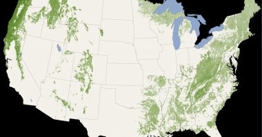 Ладно бы из говна и палок -  там по большей части и с палками-то проблема