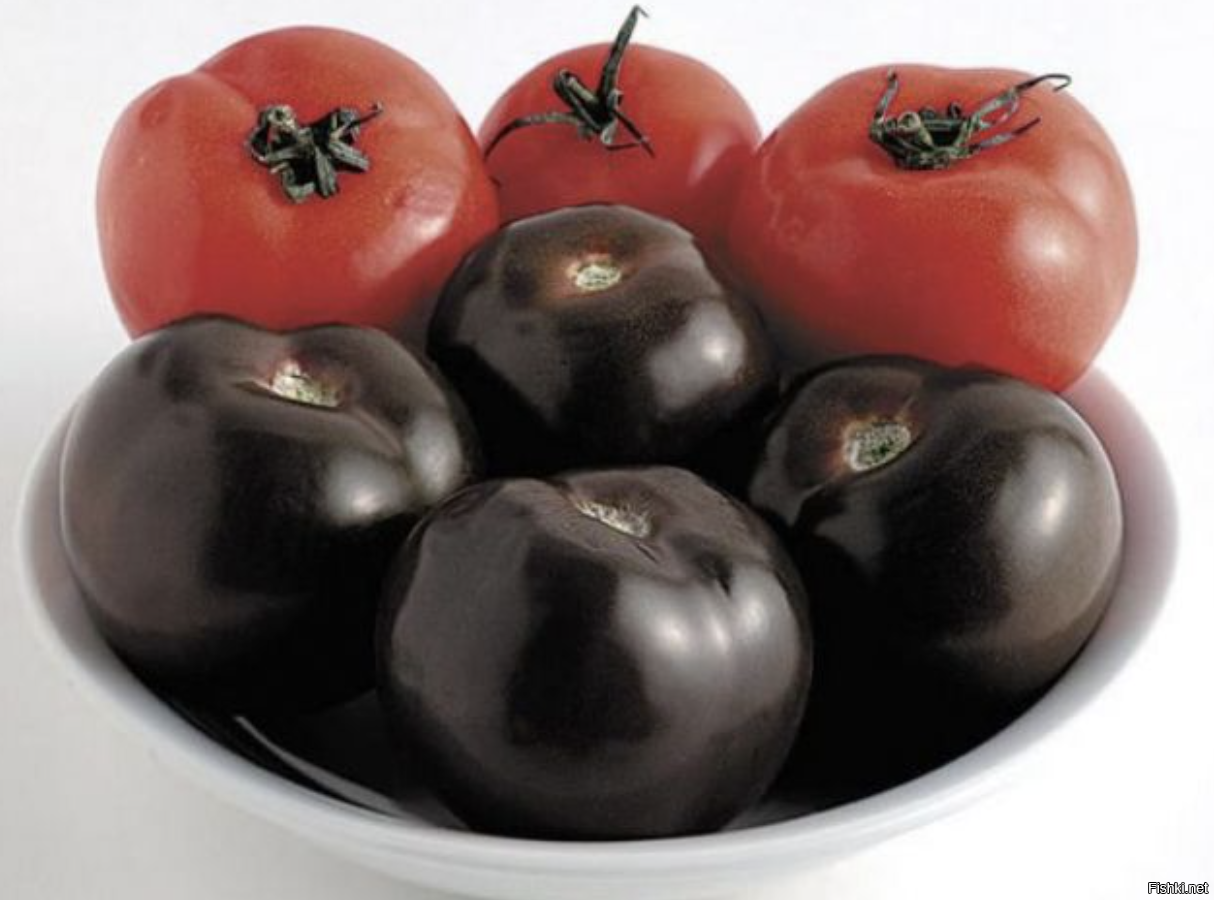 Как выглядят черные помидоры. Черри Кумато. Черные помидоры Кумато. Томаты черный принц и Кумато. Сорт черный принц томат.